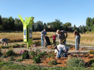 Photo of volunteers maintaining garden