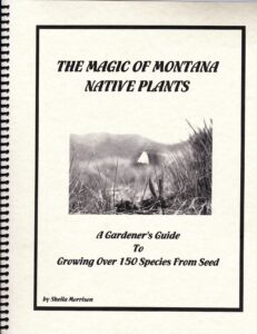 Image showing cover of a book written by Sheila Morrison called A Gardener's Guide to Growing over 150 Species from Seed
