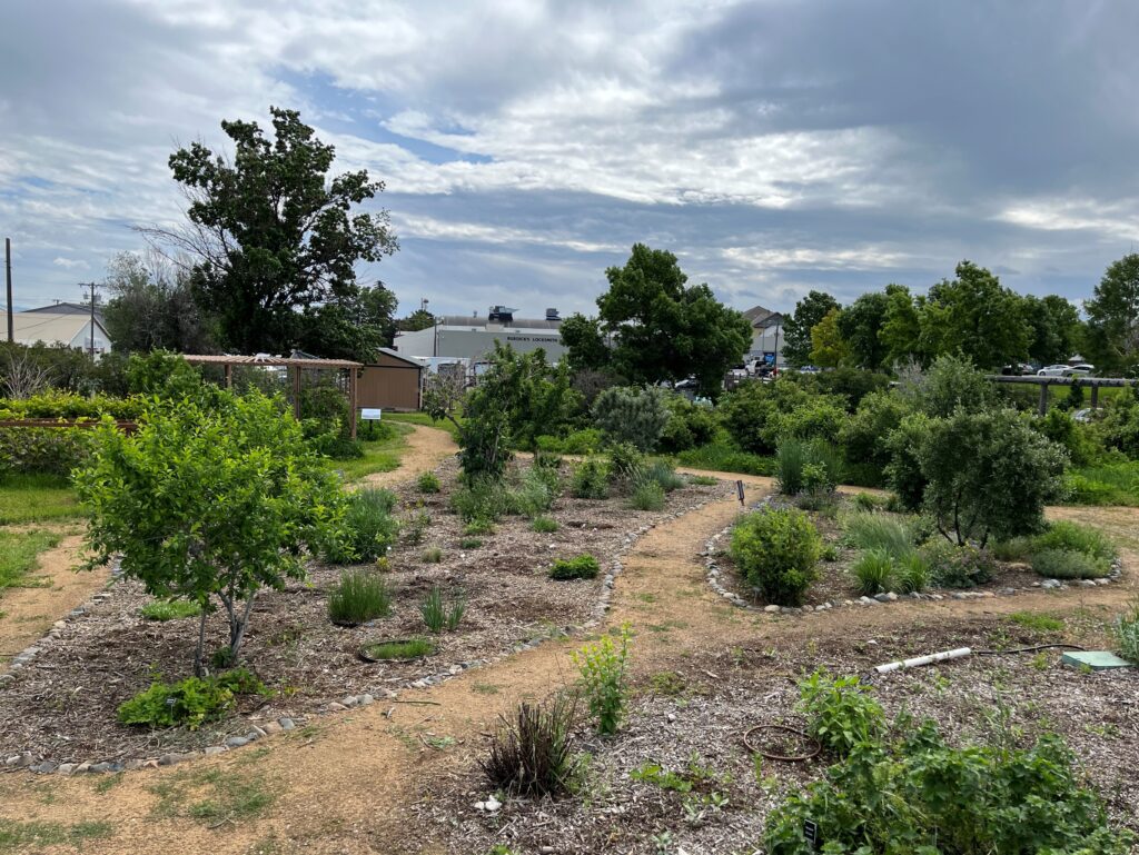 Photo of Helena Sixth Ward Park Native Plant Garden Area